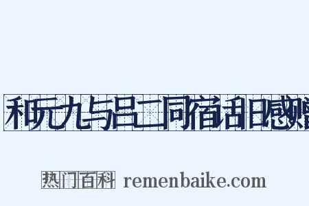 和元九与吕二同宿话旧感赠是什么意思的图片